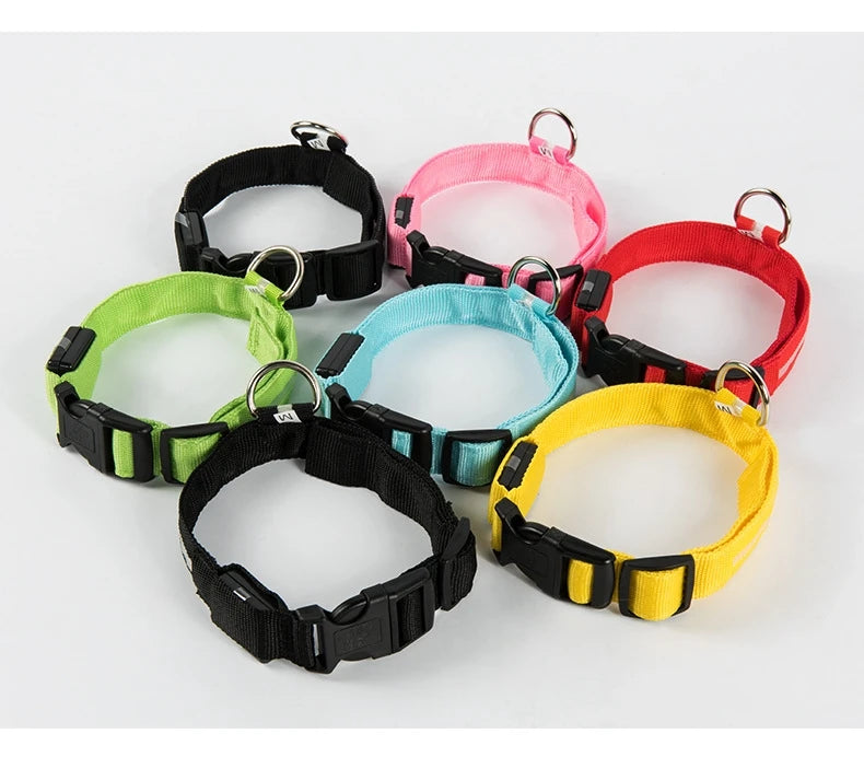 NightPups™ Bright LED Dog Collar for Night Walks