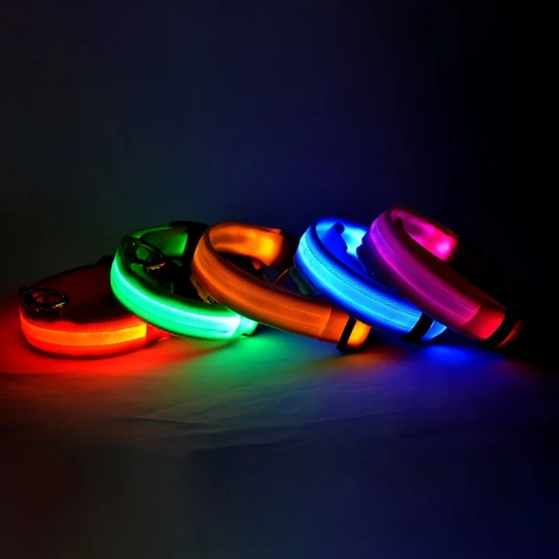 NightPups™ Bright LED Dog Collar for Night Walks