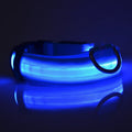 NightPup™ Bright LED Dog Collar for Night Walks