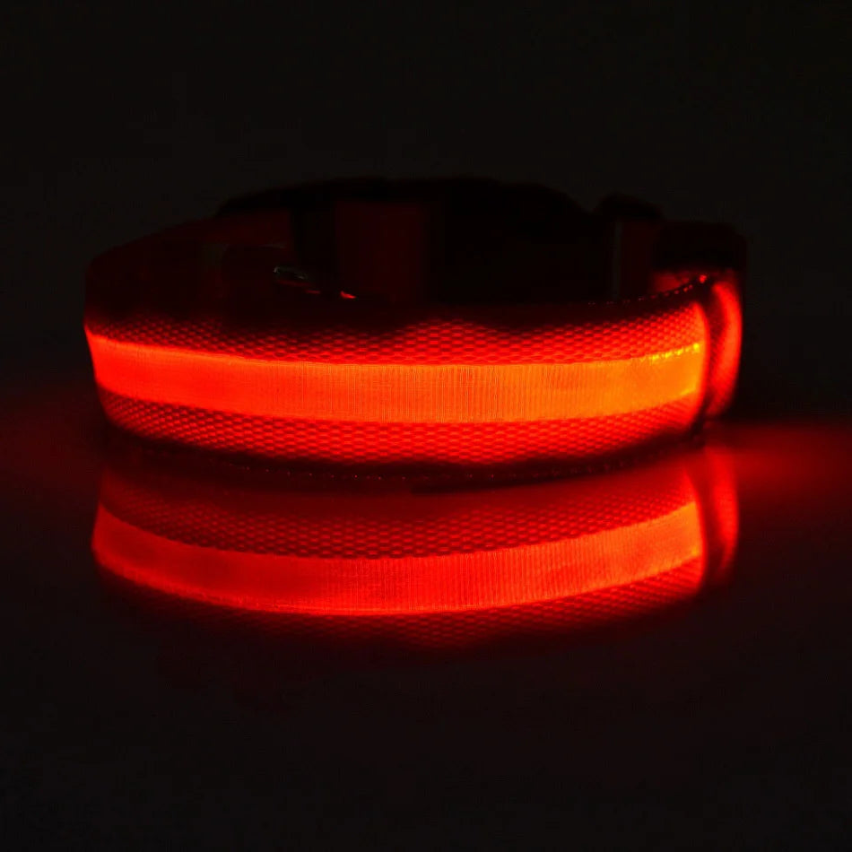 NightPups™ Bright LED Dog Collar for Night Walks