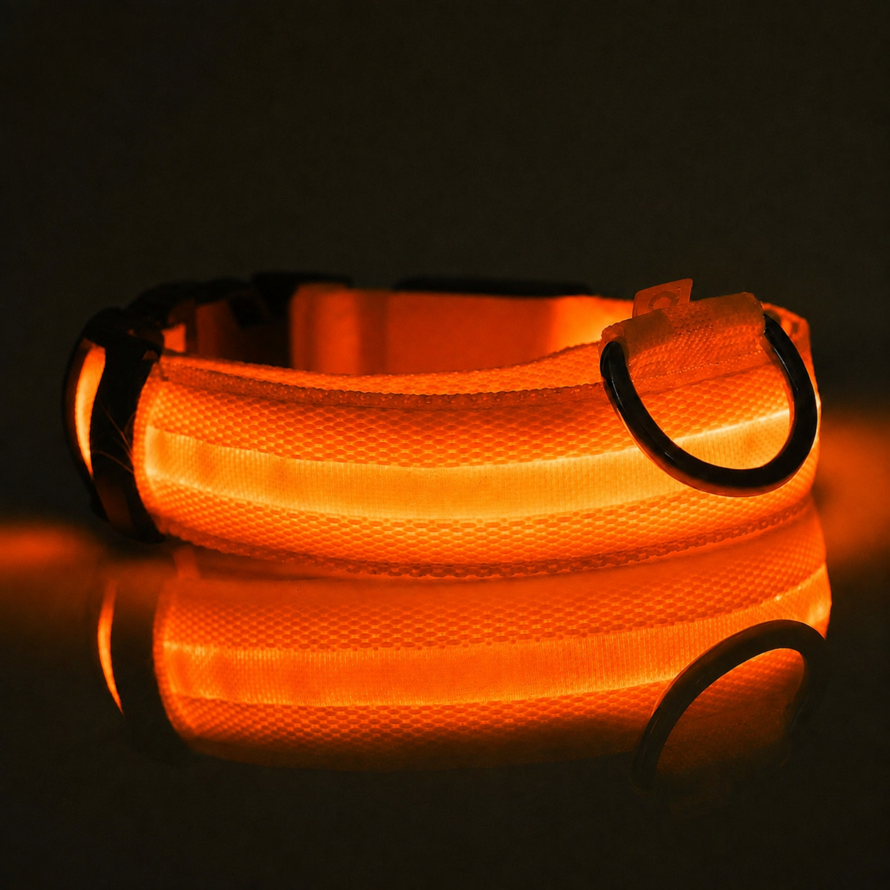 NightPups™ Bright LED Dog Collar for Night Walks