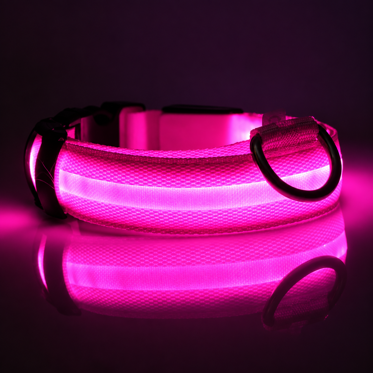 NightPups™ Bright LED Dog Collar for Night Walks