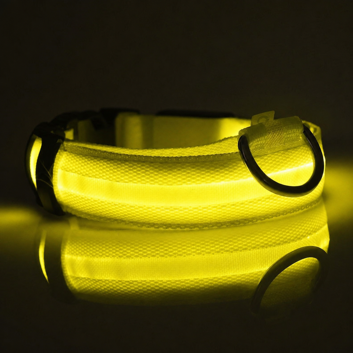 NightPups™ Bright LED Dog Collar for Night Walks
